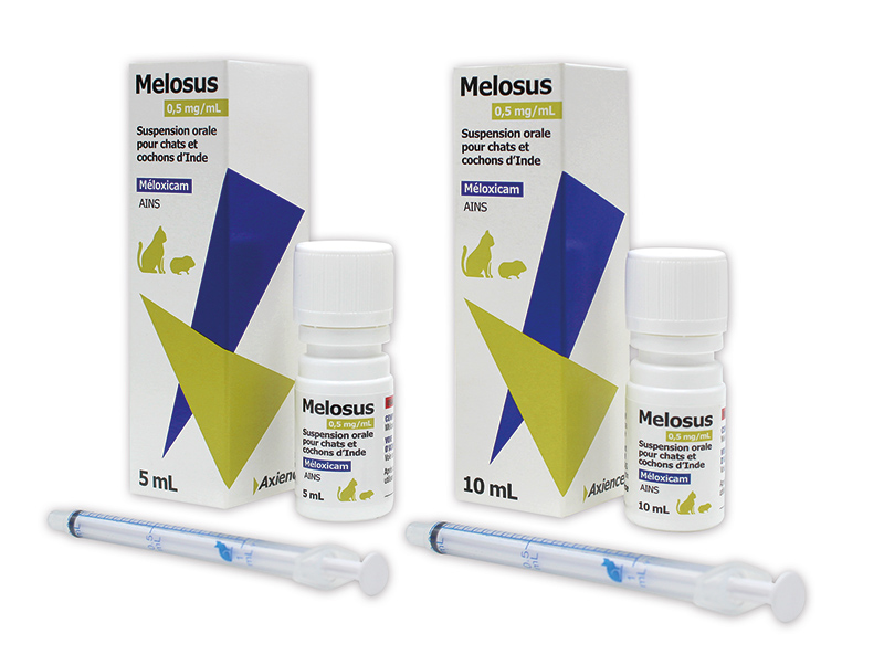 Melosus 0,5 mg/mL